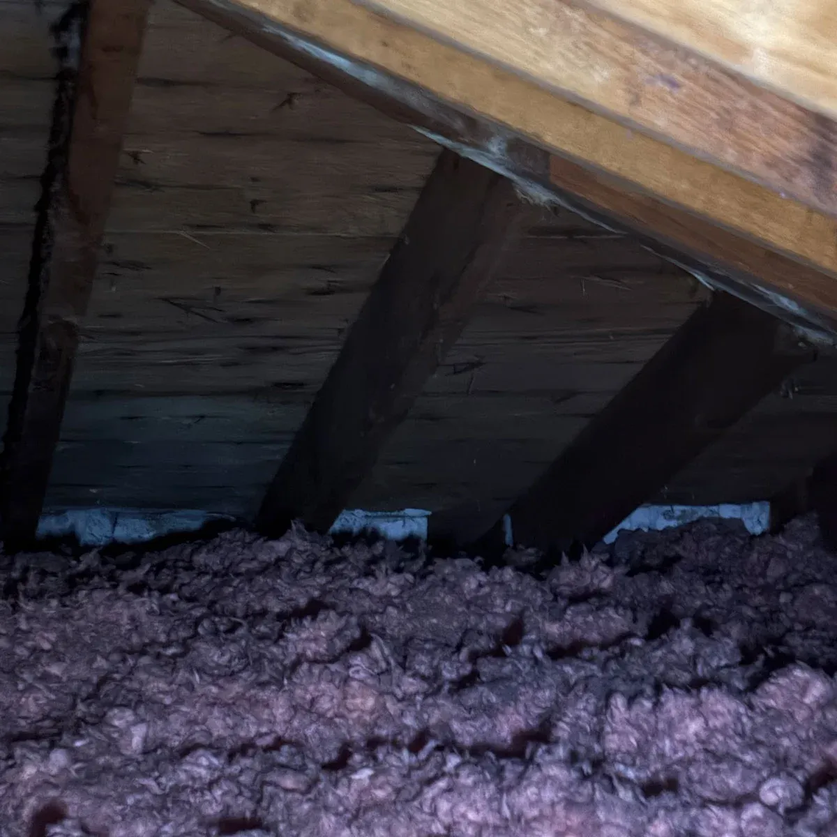 attic inspection in toronto