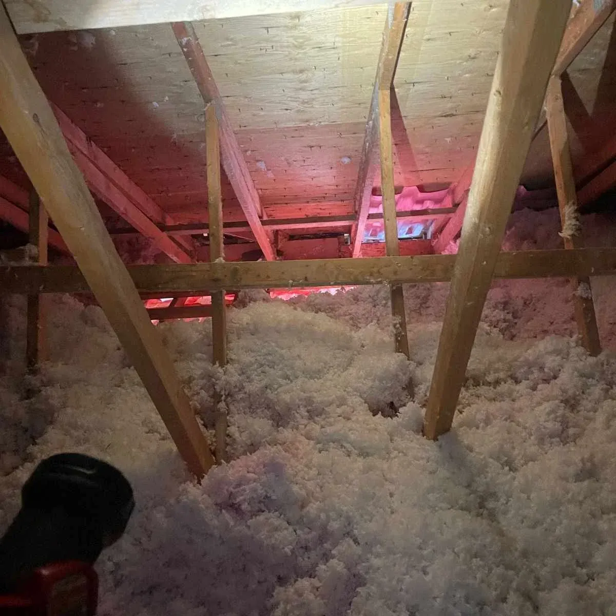 Attic-Inspection-1