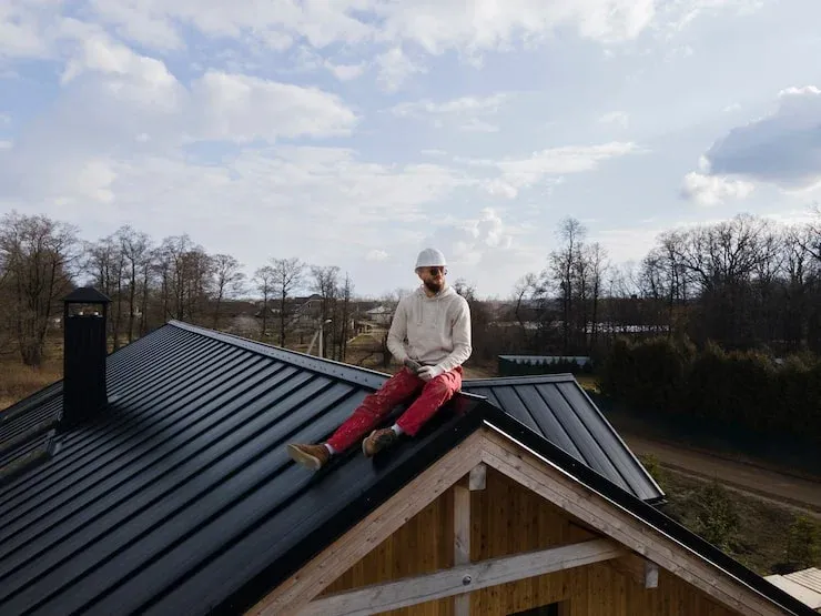 Roof Wildlife Removal